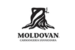 03 moldovan